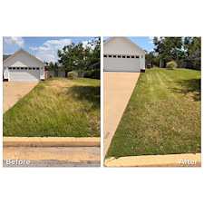 Overgrown-Lawn-Reset-and-Routine-Maintenance-in-Oxford-MS 1